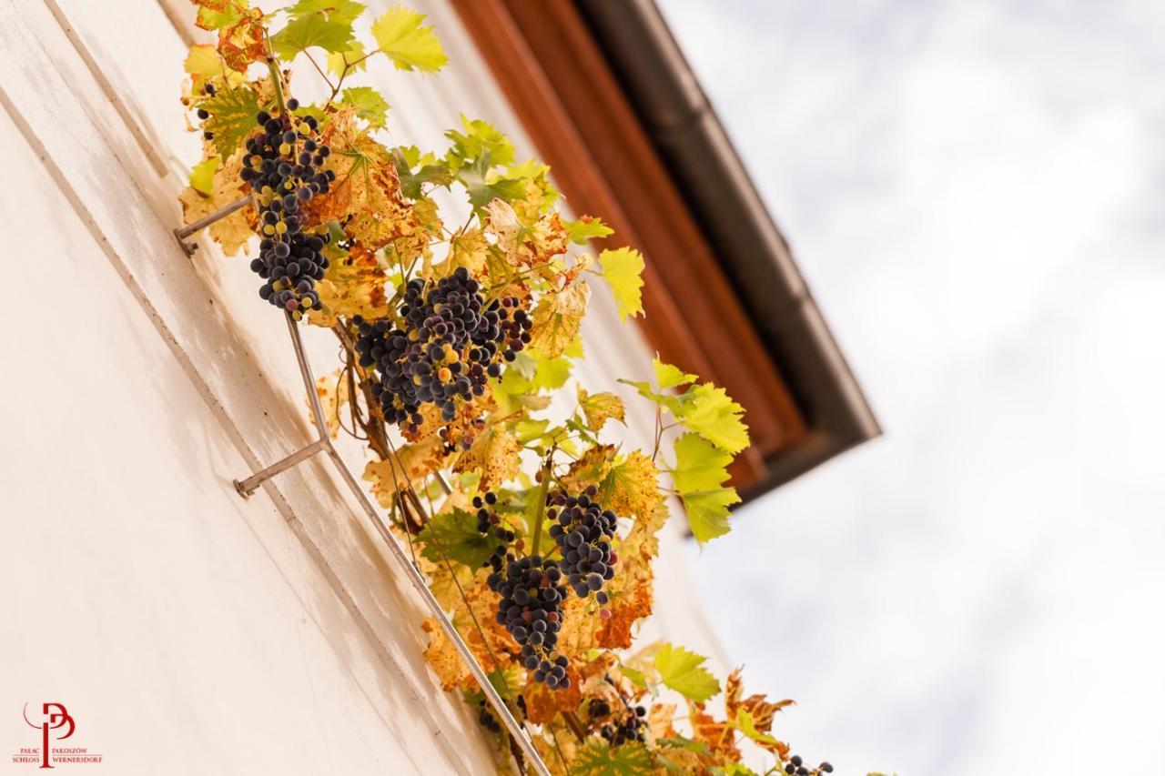 Palac Pakoszow Schlosshotel Wernersdorf Jelenia Góra Kültér fotó Vineyards in the village of Saint-André-de-Valzach
