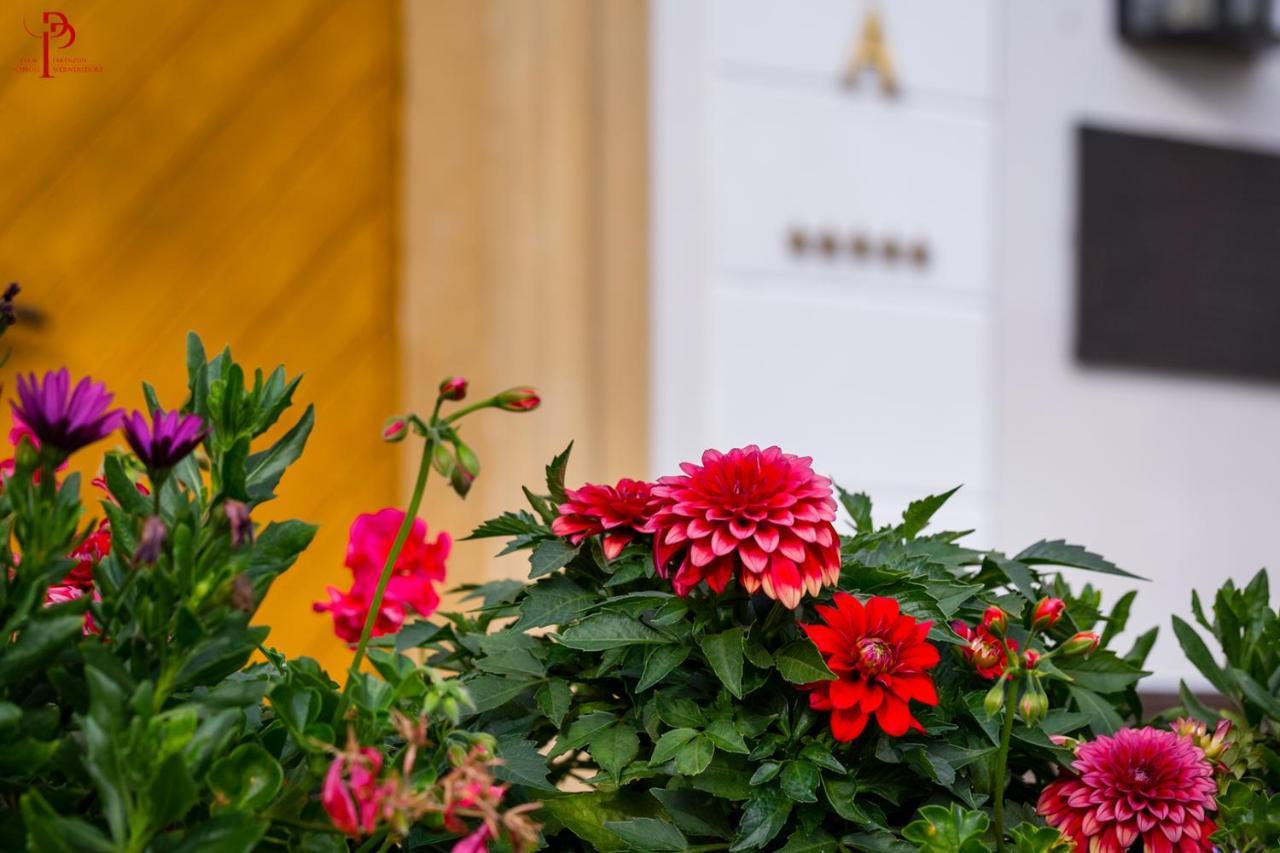 Palac Pakoszow Schlosshotel Wernersdorf Jelenia Góra Kültér fotó Dahlia 'Red Charm'